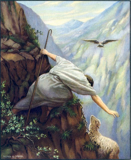 The Shepherd